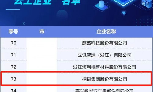 fun乐天使官网集团入选浙江省第二批制造业“云上企业”名单