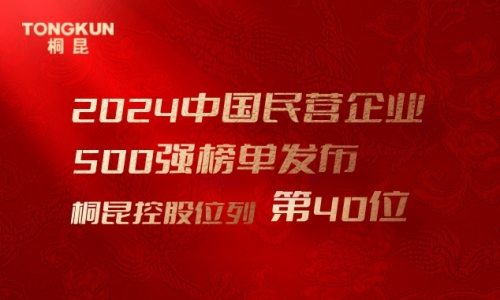 首进前50！fun乐天使官网，中国民营企业500强第40位！